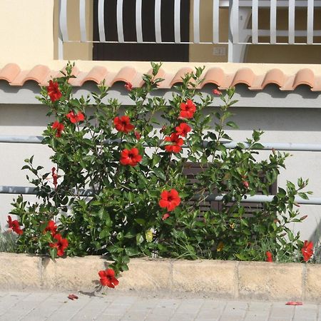 Baia Dei Canonici Aparthotel Villaggio Le Rocelle Exteriör bild