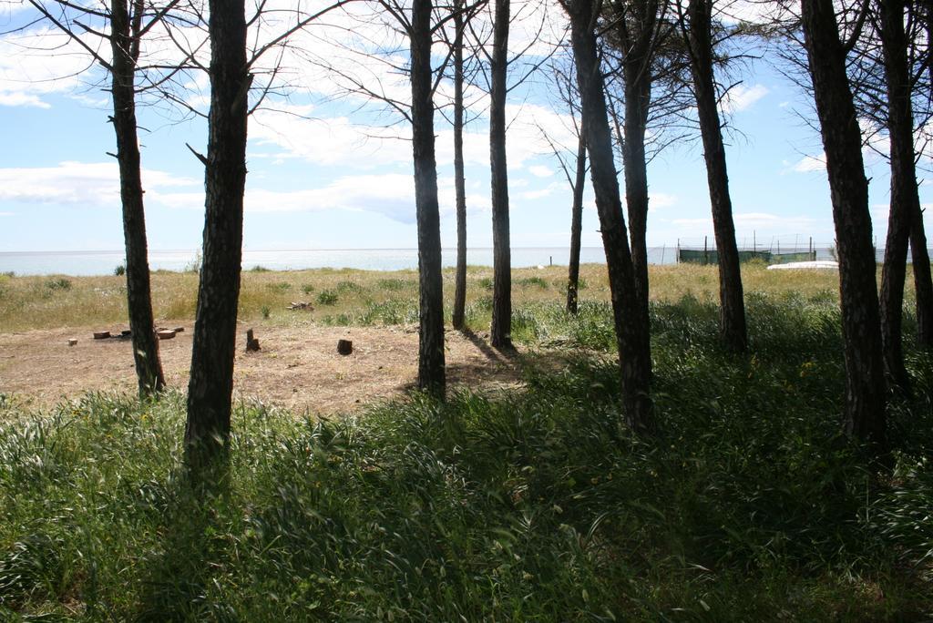 Baia Dei Canonici Aparthotel Villaggio Le Rocelle Exteriör bild