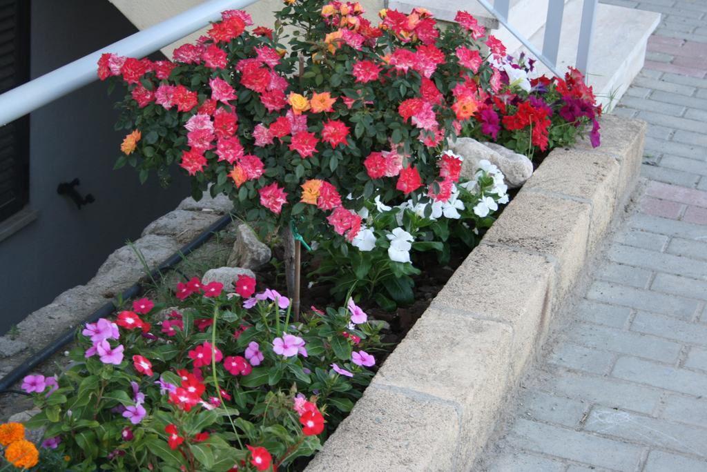 Baia Dei Canonici Aparthotel Villaggio Le Rocelle Exteriör bild